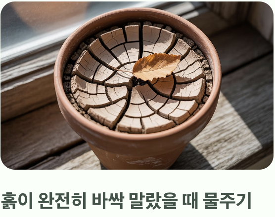 '과습'이라는 유일한 적을 피하는 법