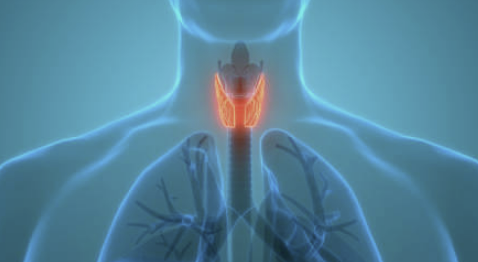 갑상선 기능저하증 증상 좋은 음식 수치 등 알아보기 (24년 Ver)