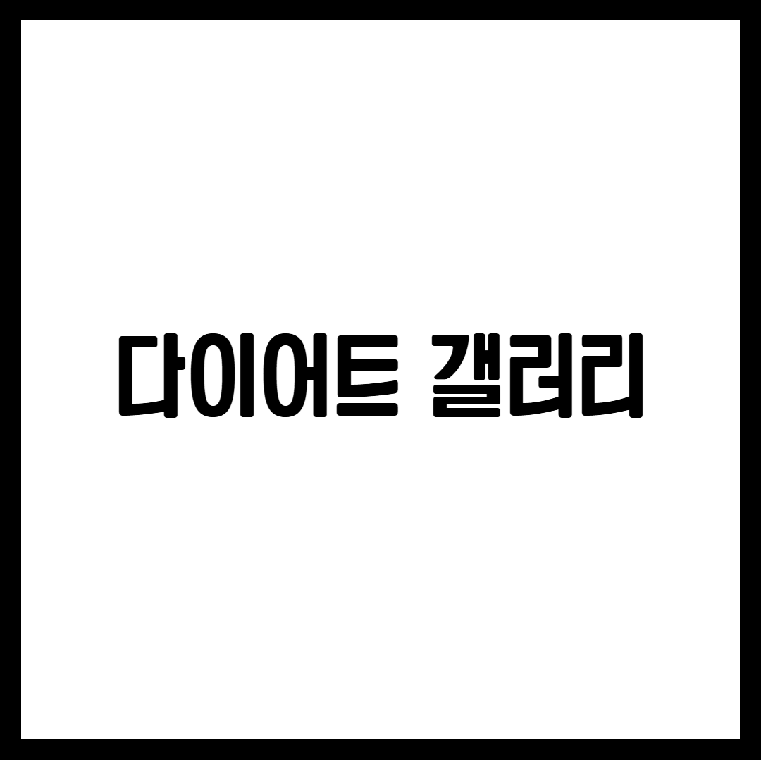 다이어트 갤러리