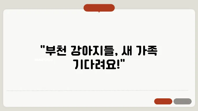부천 강아지 보호소의 봉사자