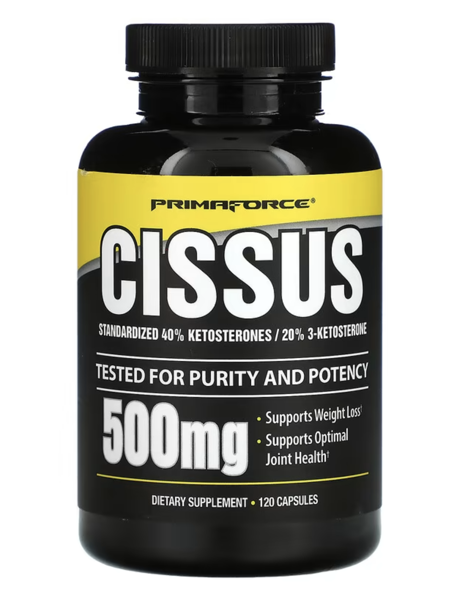 시서스 다이어트 효능 용량 제품 비교 후기