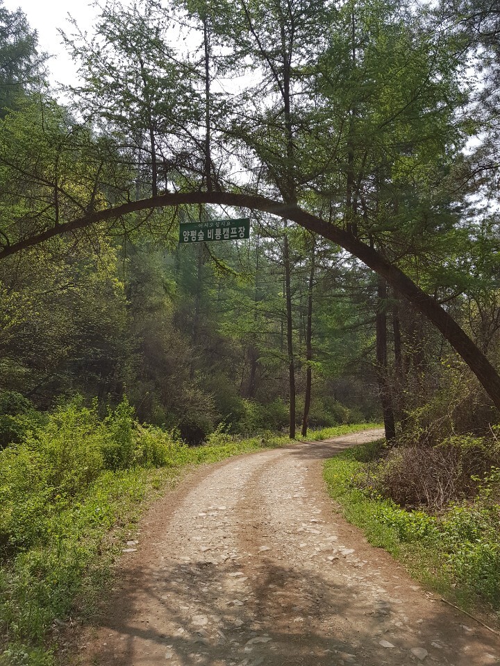 경기-양평-아이캠퍼-캠핑장-사진-입니다.