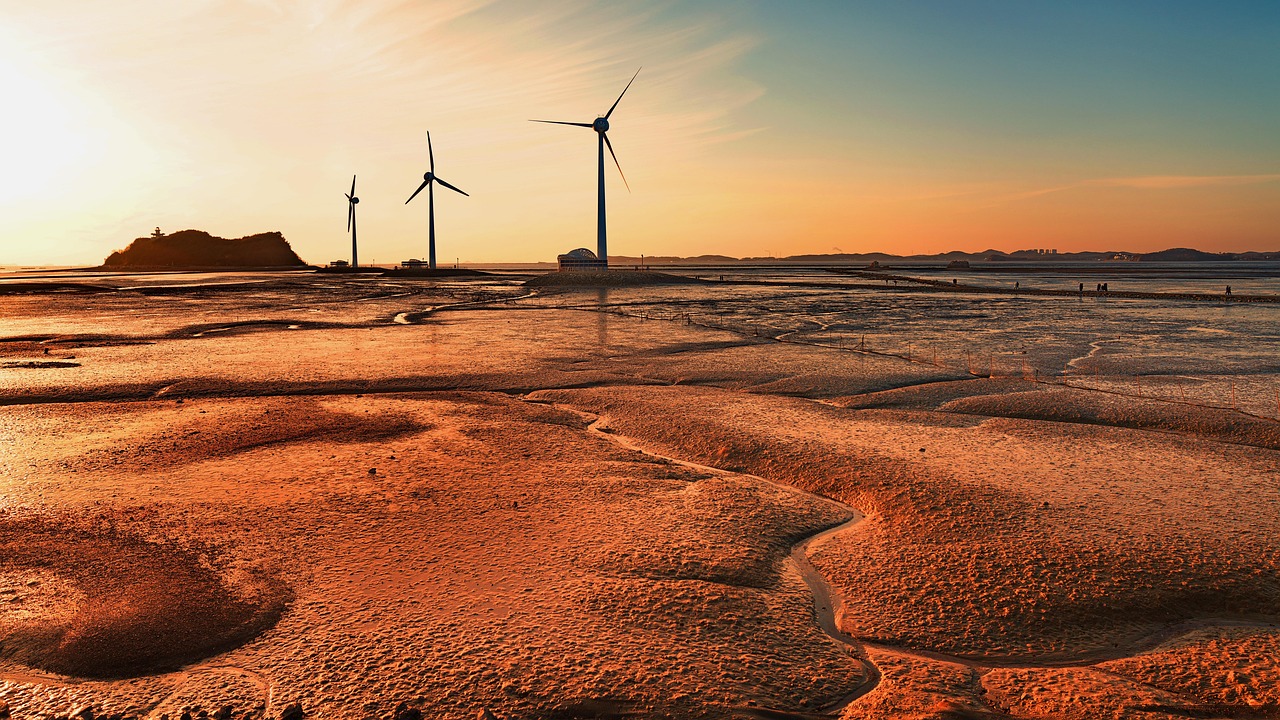 대부도 바다 사진