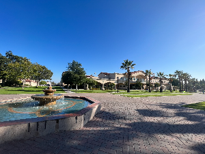 팔로알토 북클럽과 스토리타임, 커뮤니티 활동