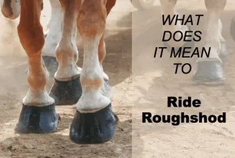 러프하게 뜻 rough 루즈하다 loose 너프하다까지_12