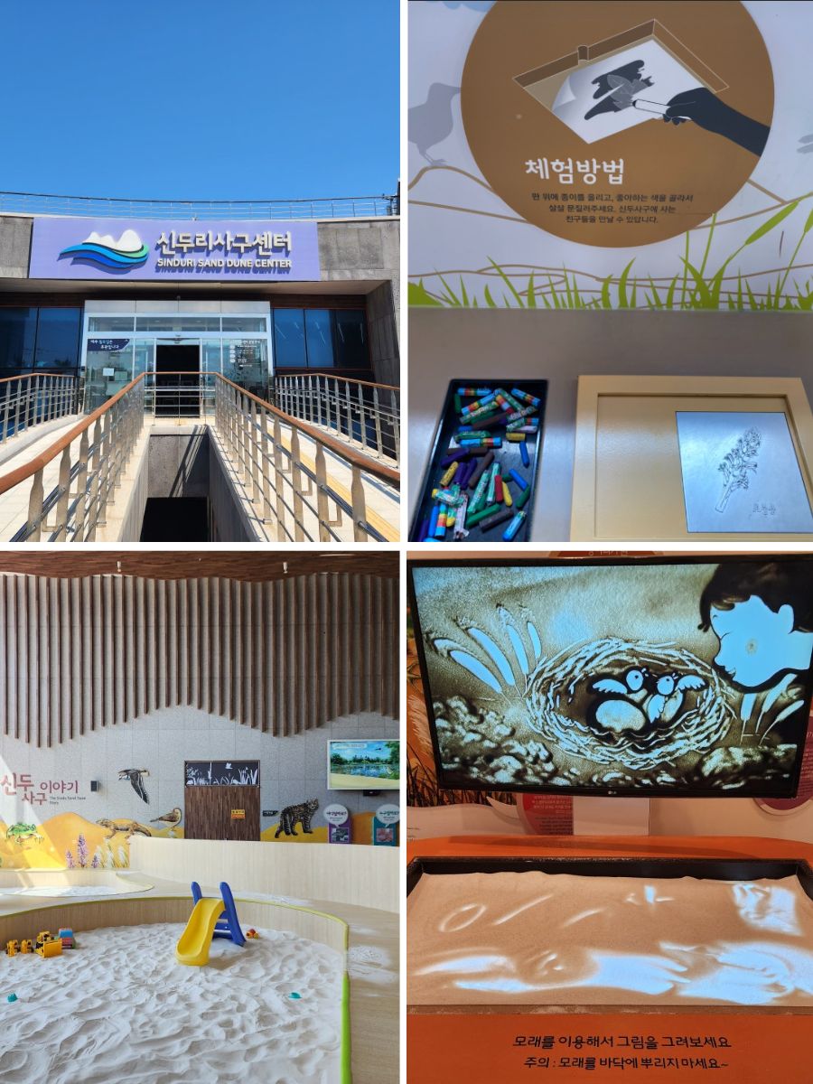 신두리 사구센터