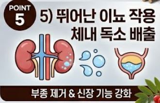 마가목 효능