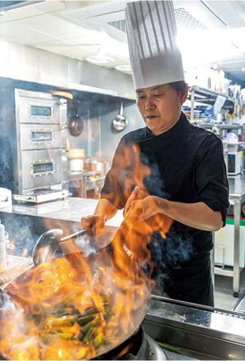 신계숙 교수 경력