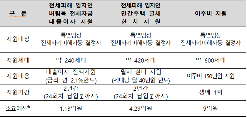 전세사기 금융지원사업내용