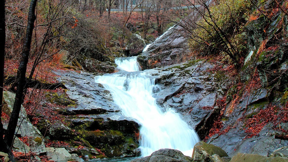 회문산 자연휴양림 예약