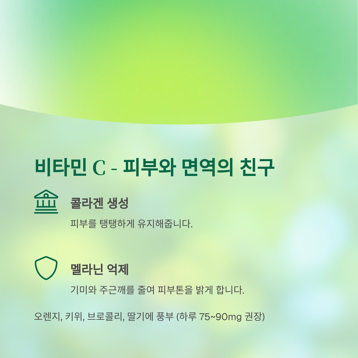 비타민 C – 피부와 면역의 든든한 친구