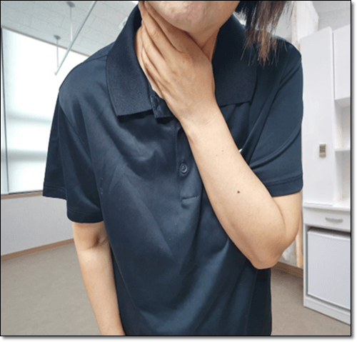 기쿠치병 증상