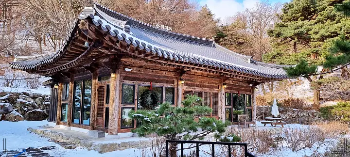 생방송오늘저녁 공주 계룡산 겨울 절경 사찰 개조 절 브런치 카페 대추차 & 자연 송이 버섯 떡국 맛집 추천