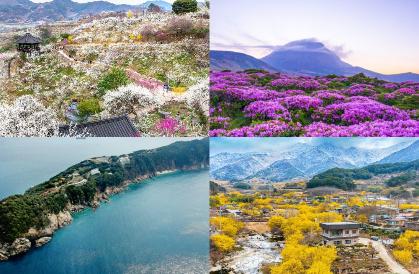 3월 여행지 추천