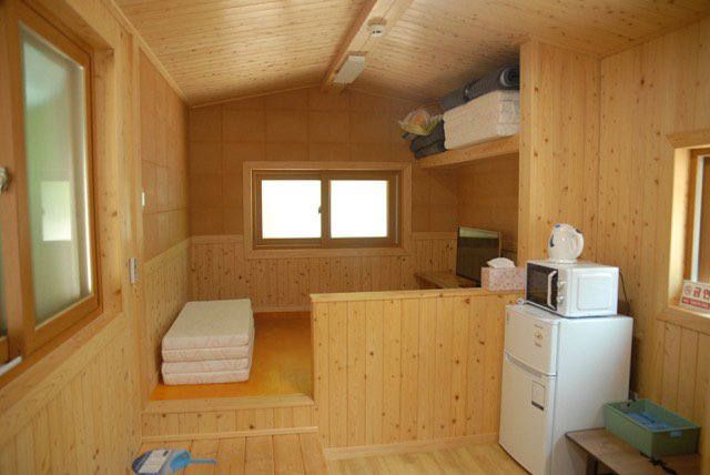 태백 해바라기축제