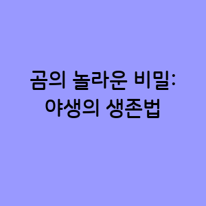 곰의 놀라운 비밀