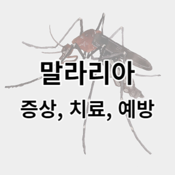 말라리아_썸네일