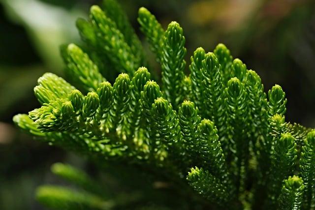 차례상 영정사진