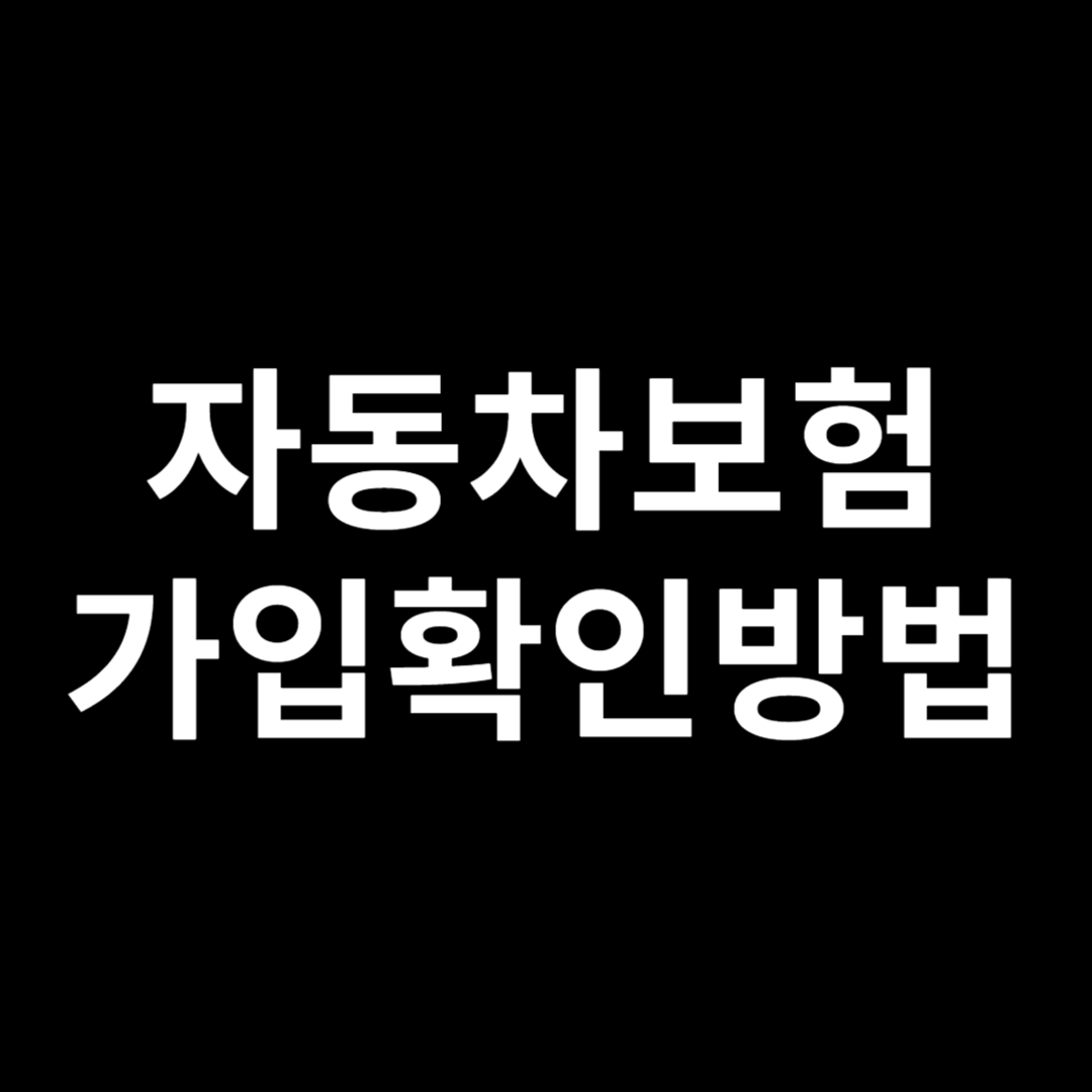 자동차보험 가입확인방법