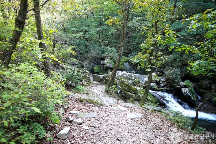 영월 가볼만한곳 베스트 10