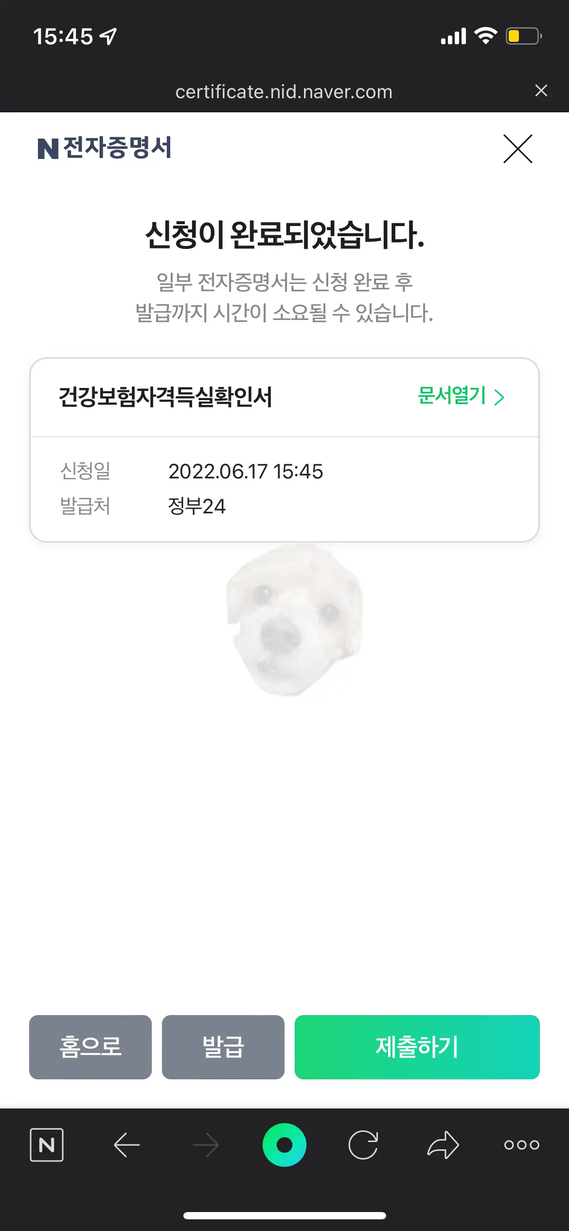 전자증명서 신청 완료 사진