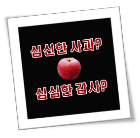 심심한 이란? 무엇인가?