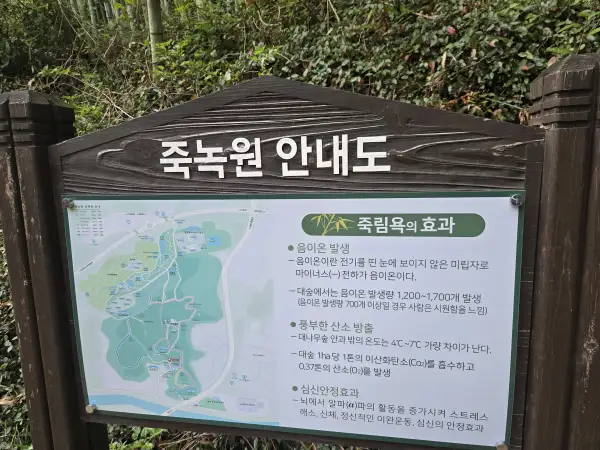 담양 대나무 축제 죽녹원