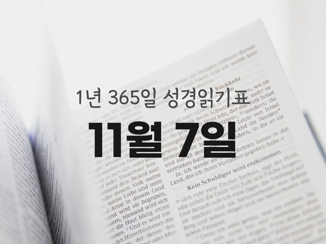 1년 365일 성경읽기표 11월 7일 요한복음 성경읽기 진도표 다운로드