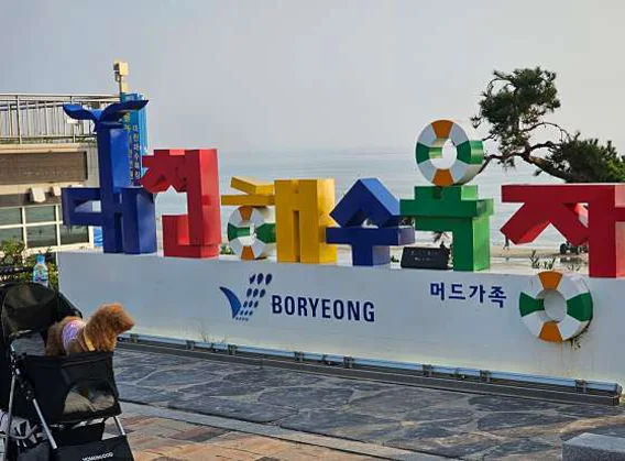 머드광장