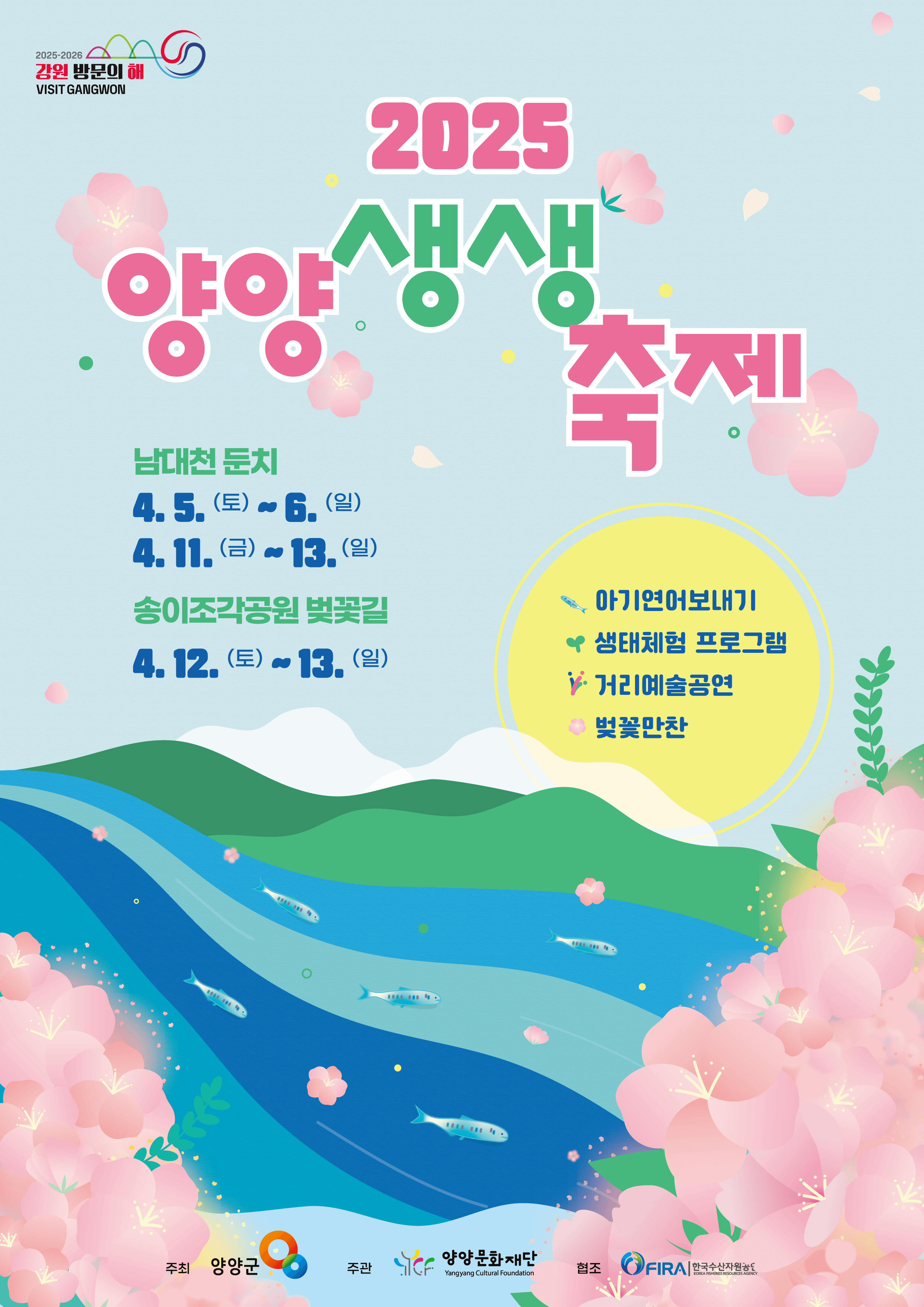 양양 생생축제 남대천 벚꽃길