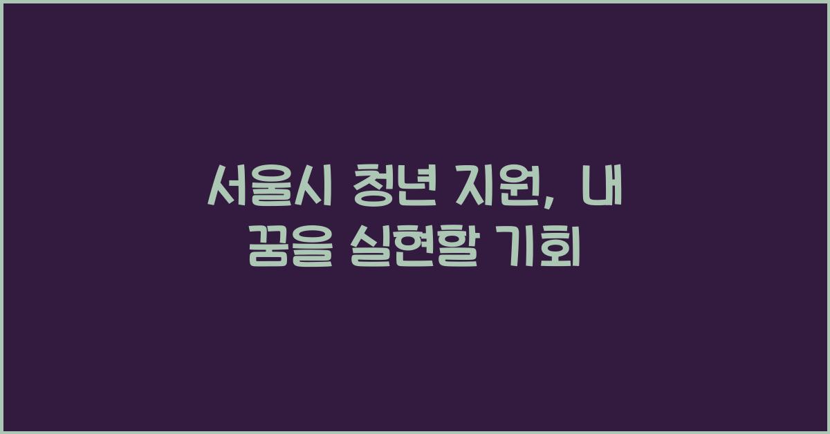 서울시 청년 지원