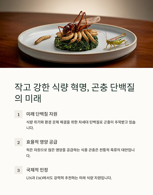 단백질 식용 곤충, 미래 식량으로 주목받는 이유