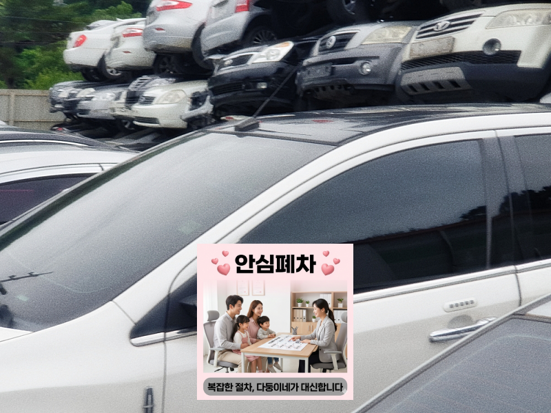 번호판 영치 이력 차량 번호판 상태 확인