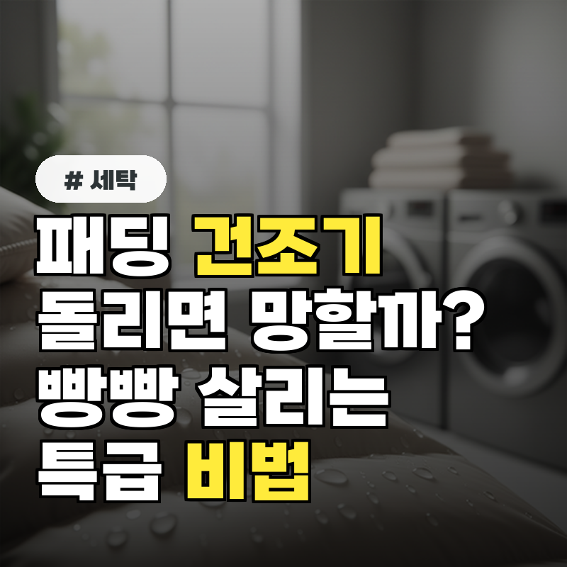 패딩 건조기 돌리면 망한다 빵빵하게 살리는 특급 비법 3가지