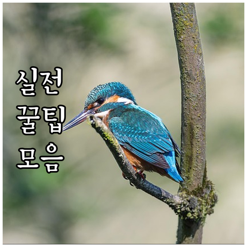 당진시 2025 저소득주민 대학 입학..