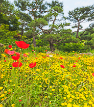 화담숲 예약 할인