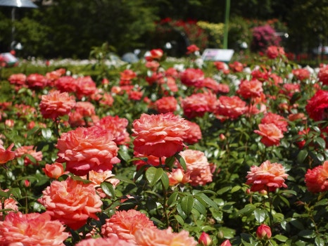 부산 정관 윗골공원