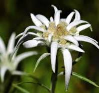 난나라 직거래 장터