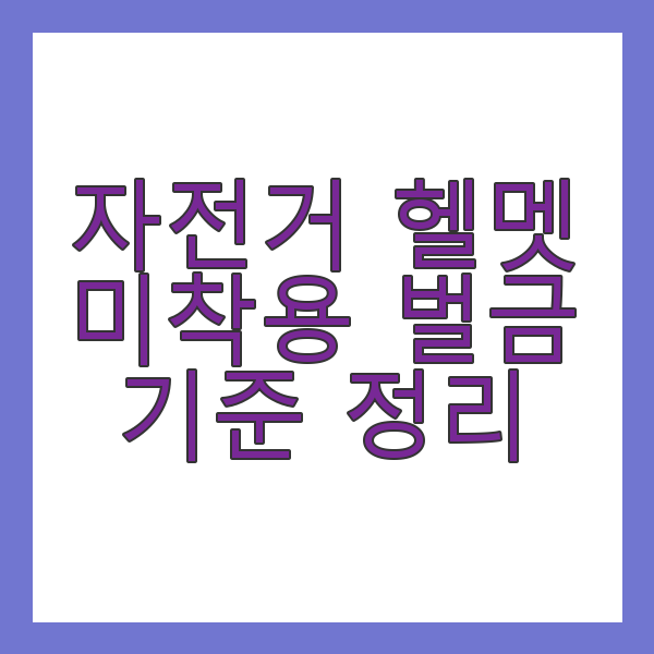 자전거 헬멧 미착용 벌금 기준