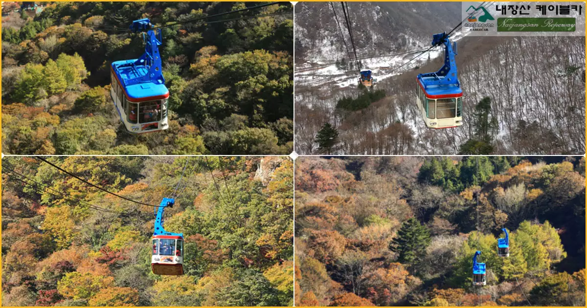 내장산 케이블카
