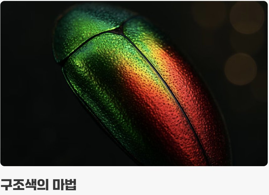 스스로 빛을 내지 않는 보석