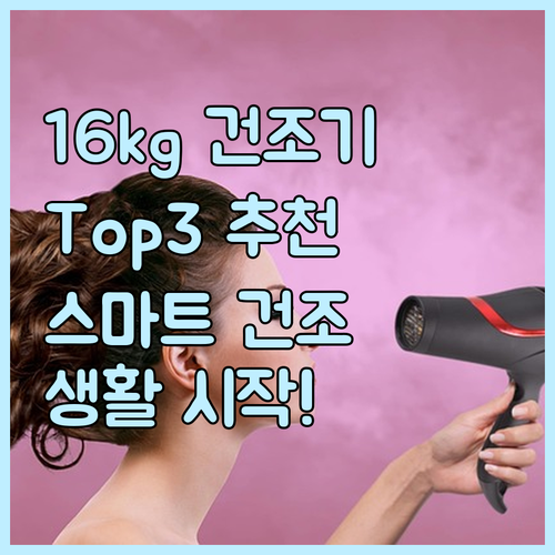 건조기 16kg 추천 Top 3 스마..