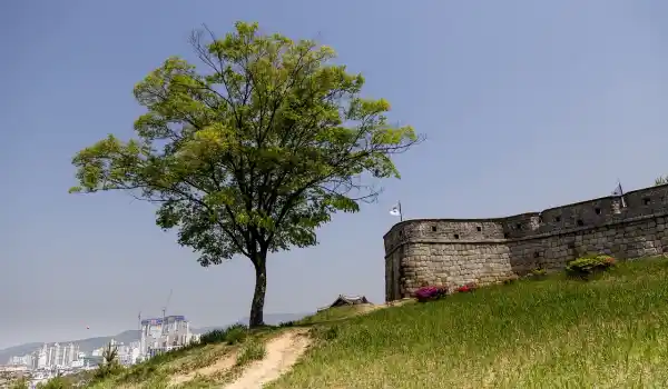 왕의남자영화촬영지수원화성행궁