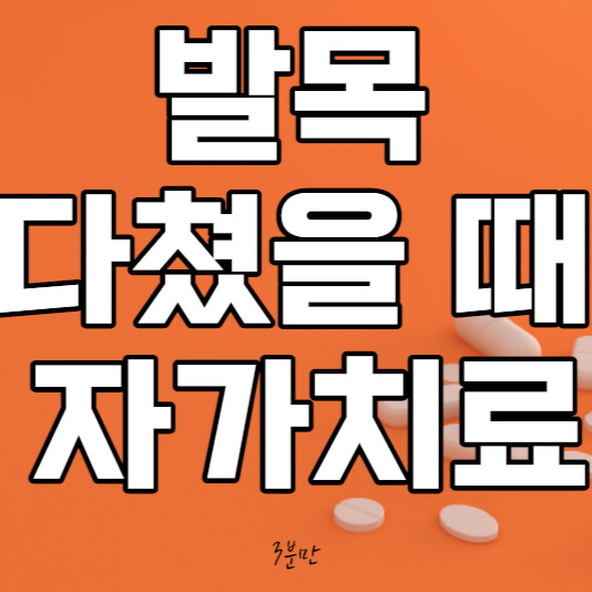 메인