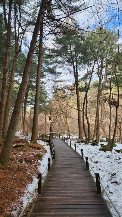 눈이 남아있는 가평잣향기푸른숲의 독특한 정취