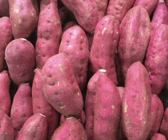 변비에 좋은 음식 변비해결방법