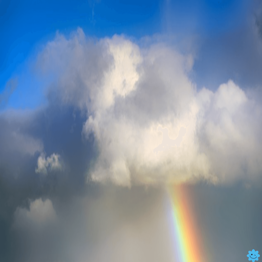 하늘의 무지개 사진