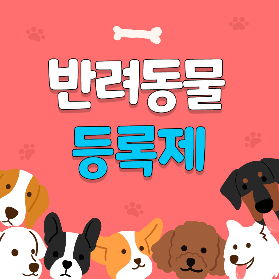 반려동물등록제