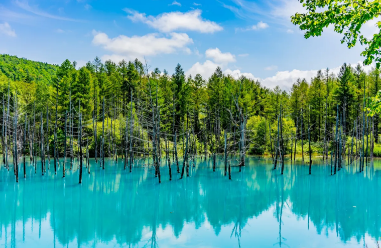 삿포로-여름날씨