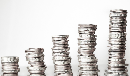 고흥-민생지원금